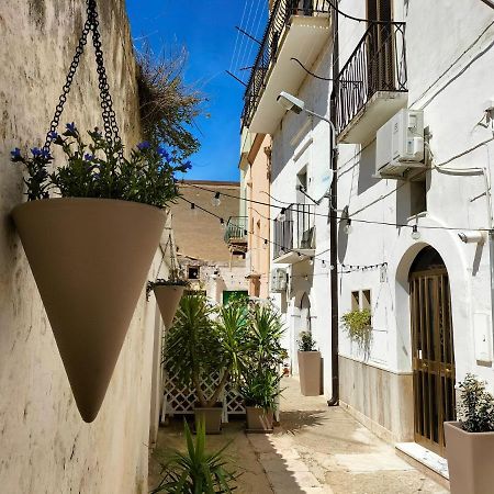 Bed and Breakfast Blue Moon Spinazzola Exterior foto