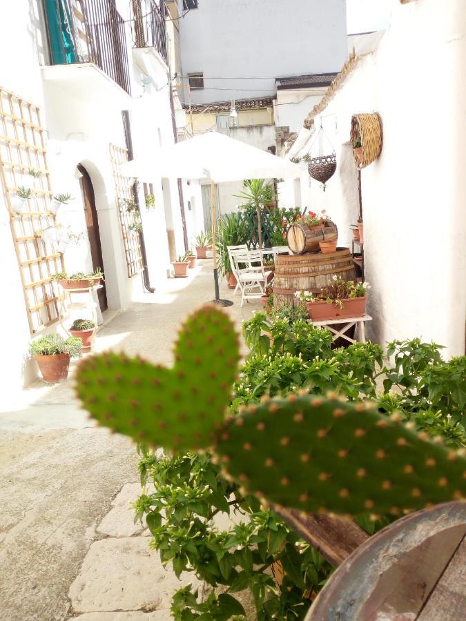 Bed and Breakfast Blue Moon Spinazzola Exterior foto