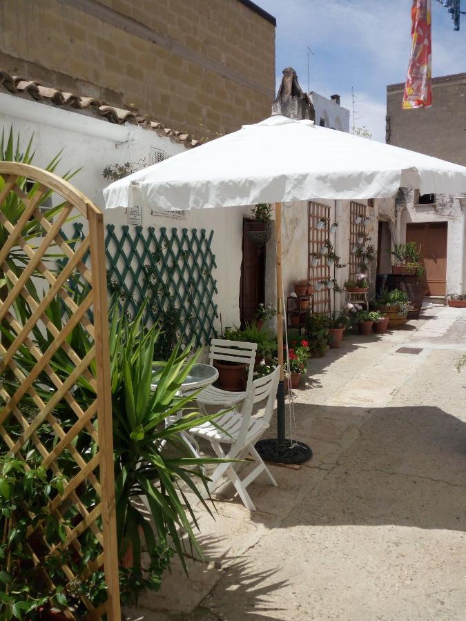 Bed and Breakfast Blue Moon Spinazzola Exterior foto