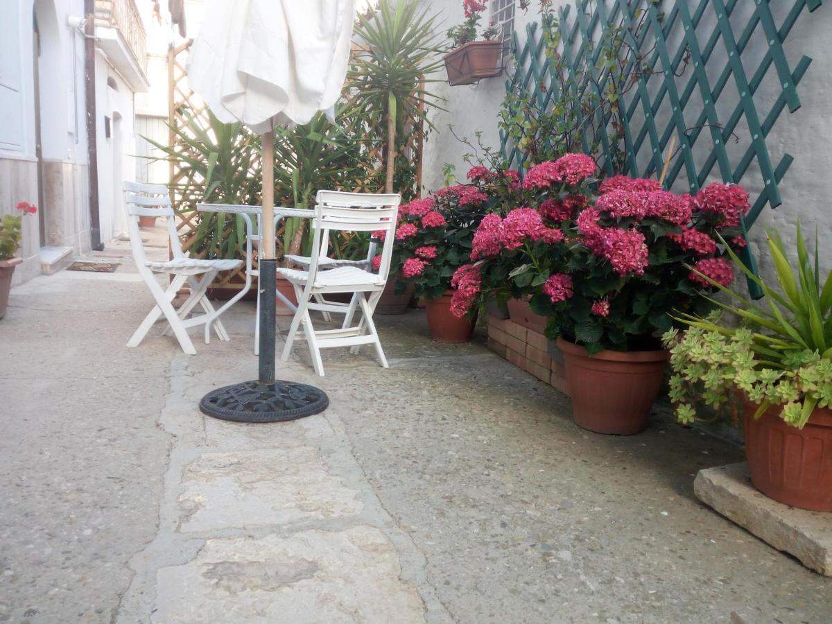 Bed and Breakfast Blue Moon Spinazzola Exterior foto