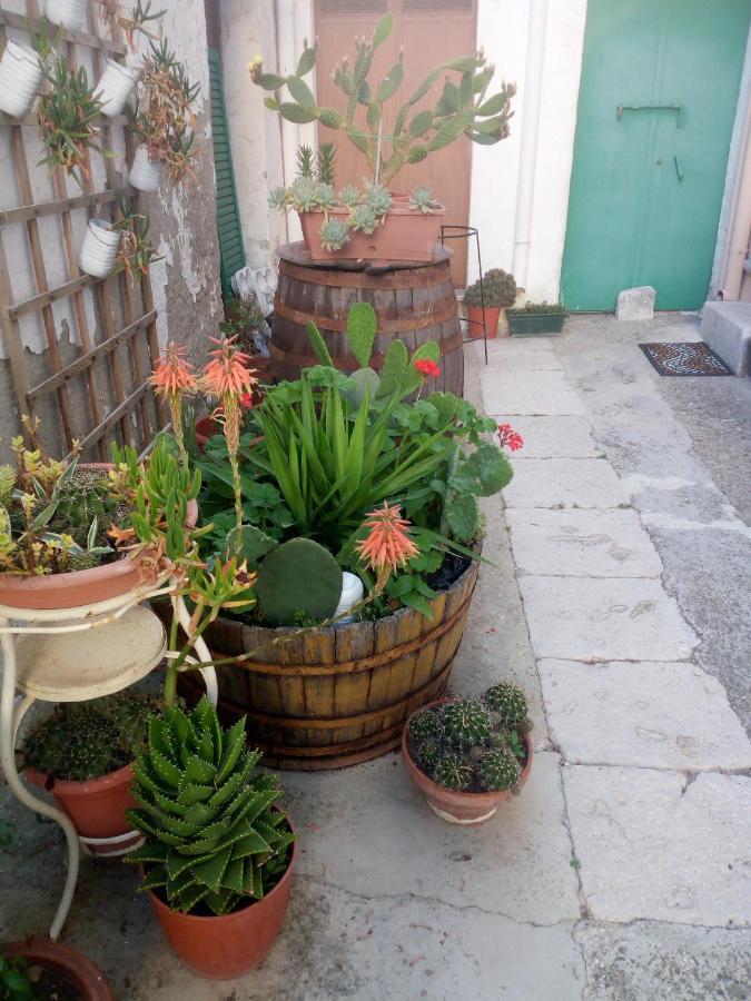 Bed and Breakfast Blue Moon Spinazzola Exterior foto
