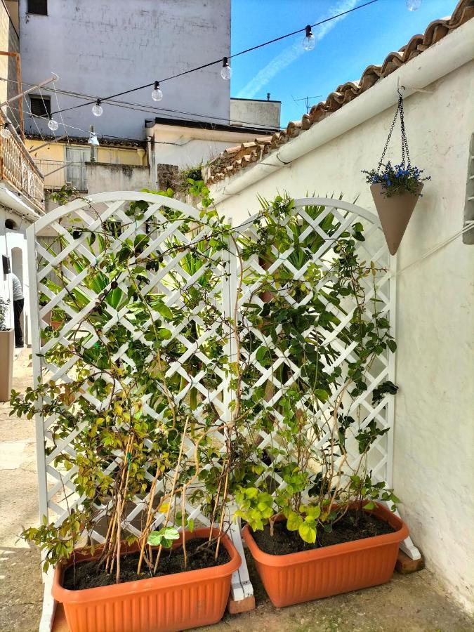 Bed and Breakfast Blue Moon Spinazzola Exterior foto